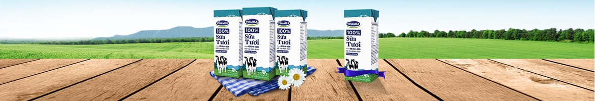 Chuyển đến Vinamilk để bắt đầu mua sắm và nhận Tạm ngưng hoàn tiền tại TichLuy.vn